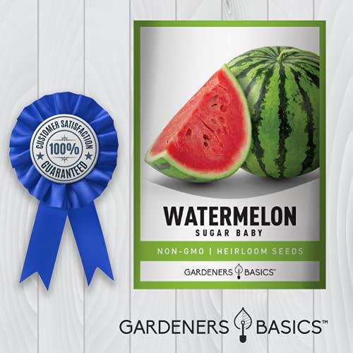 Watermelon Seeds for Planting - Sugar Baby Heirloom Variety, Non-GMO Fruit Seed - 2 Grams of Seeds Great for Outdoor Garden by Gardeners Basics