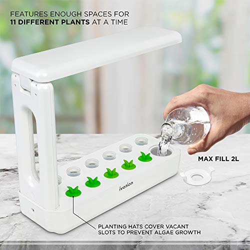 Ivation Herb Indoor Garden Kit | Complete Hydroponic Grow System for Herbs, Plants & Vegetables with LED Light, Seeding Box & Sponge Cubes, Planting Pods & Hats, Nutrients & Tweezers | Just Add Seeds!