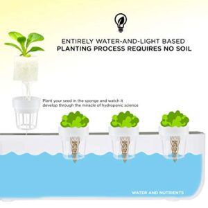 Ivation Herb Indoor Garden Kit | Complete Hydroponic Grow System for Herbs, Plants & Vegetables with LED Light, Seeding Box & Sponge Cubes, Planting Pods & Hats, Nutrients & Tweezers | Just Add Seeds!