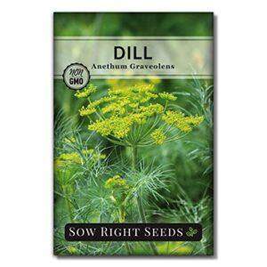 sow right seeds – dill seed for planting – all non-gmo heirloom dill seeds with full instructions for easy planting and growing your kitchen herb garden, indoor or outdoor; great gift