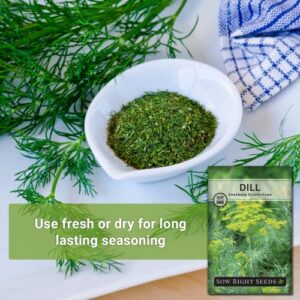 Sow Right Seeds - Dill Seed for Planting - All Non-GMO Heirloom Dill Seeds with Full Instructions for Easy Planting and Growing Your Kitchen Herb Garden, Indoor or Outdoor; Great Gift