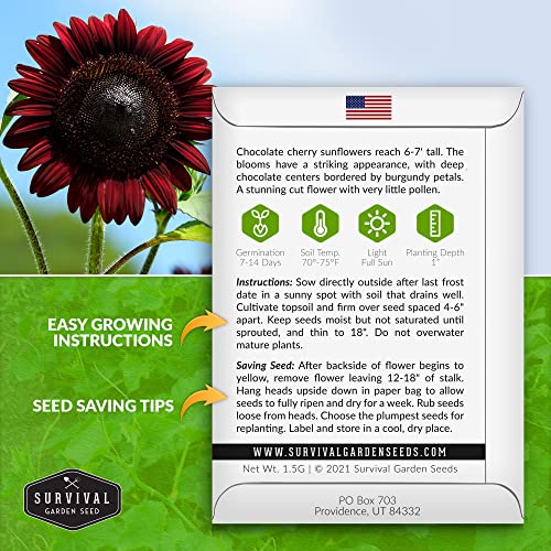 Survival Garden Seeds - Chocolate Cherry Sunflower Seed for Planting - Packet with Instructions to Plant and Grow Beautiful Flowers in Your Home Vegetable or Flower Garden - Non-GMO Heirloom Variety
