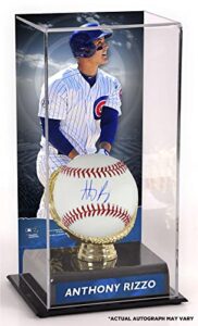 anthony rizzo chicago cubs autographed baseball and gold glove display case with image – autographed baseballs