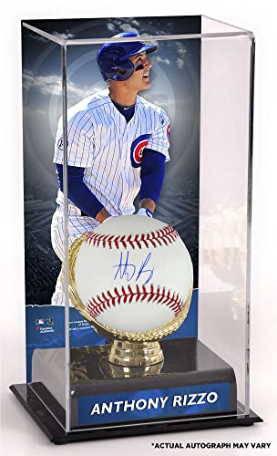 Anthony Rizzo Chicago Cubs Autographed Baseball and Gold Glove Display Case with Image - Autographed Baseballs