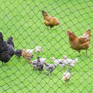 25' X 50' Net Netting for Bird Poultry Aviary Game Pens New 1" Square Mesh Size (25' x 50'-1'')