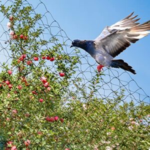 25' X 50' Net Netting for Bird Poultry Aviary Game Pens New 1" Square Mesh Size (25' x 50'-1'')