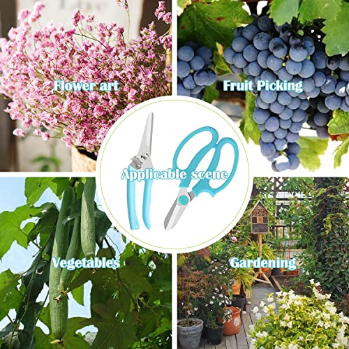 Sunnyac Garden Pruning Shears Scissors, 2 Pack Gardening Tools Hand Pruners, Floral Secateurs, Tree Trimmer, Clippers for Cutting Flowers and Plants, Trimming Branches, Bonsai, Fruits Picking (Color2)