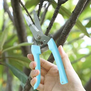 Sunnyac Garden Pruning Shears Scissors, 2 Pack Gardening Tools Hand Pruners, Floral Secateurs, Tree Trimmer, Clippers for Cutting Flowers and Plants, Trimming Branches, Bonsai, Fruits Picking (Color2)