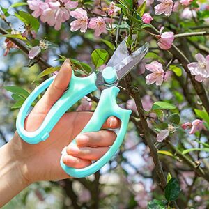 Sunnyac Garden Pruning Shears Scissors, 2 Pack Gardening Tools Hand Pruners, Floral Secateurs, Tree Trimmer, Clippers for Cutting Flowers and Plants, Trimming Branches, Bonsai, Fruits Picking (Color2)