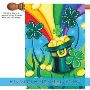 Toland Home Garden 102572 Hat 'O Gold St Patricks Day Flag 28x40 Inch Double Sided St Patricks Day Garden Flag for Outdoor House St Pats Flag Yard Decoration