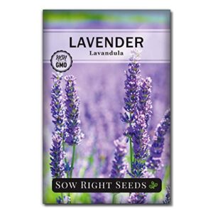 sow right seeds – lavender seeds for planting; non-gmo heirloom seeds with instructions to plant and grow a beautiful indoor or outdoor herb garden; great gardening gift