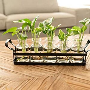 Mkono Plant Terrarium with Metal Stand, Retro Glass Planter Tabletop Flower Vase Perfect for Propagating Hydroponic Plants Flower Cutting Cute DIY Centerpiece Home Office Garden Decor, 5 Bottle