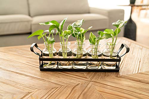 Mkono Plant Terrarium with Metal Stand, Retro Glass Planter Tabletop Flower Vase Perfect for Propagating Hydroponic Plants Flower Cutting Cute DIY Centerpiece Home Office Garden Decor, 5 Bottle