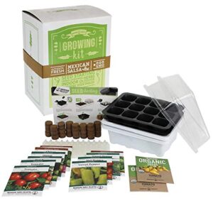 salad & vegetable garden seed starter kit | deluxe | 12 non-gmo varieties | gardening starter kit | seeds: cucumber, sweet pepper, tomato, chives, lettuce, carrot & more