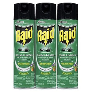 Raid House Garden Bug Killer, 11 OZ (Pack - 3)