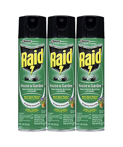 Raid House Garden Bug Killer, 11 OZ (Pack - 3)