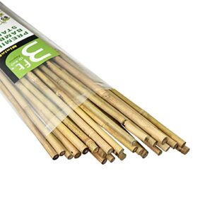 mininfa natural bamboo stakes 3 feet, eco-friendly garden stakes, plant stakes supports climbing for tomatoes, trees, beans, 25 pack
