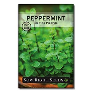 Sow Right Seeds - Peppermint Seeds for Planting - Non-GMO Heirloom Seeds - Full Instructions for Easy Planting and Growing an Herbal Tea Garden, Indoors or Outdoor; Great Gardening Gift