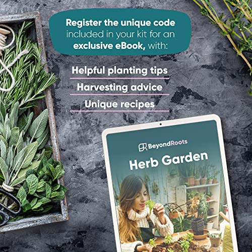 9 Herb Garden Seeds for Planting - USDA Certified Organic Herb Seed Packets - Non GMO Heirloom Seeds - Plant Markers & Gift Box - Tulsi Holy Basil, Cilantro, Mint, Dill, Sage, Arugula, Thyme, Chives