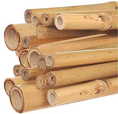 GROW!T Hydrofarm HGBB6 6' Natural, Bamboo Stake, Pack of 25, Tan