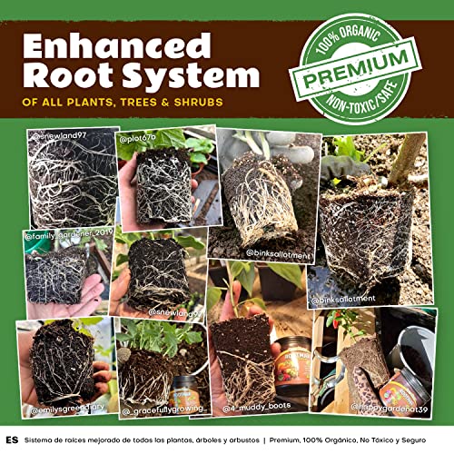 RootMax - Mycorrhizal Fungi Rooting Powder for Plant cuttings | 50x More Potent Mycorrhizae Enhanced Formula for Bigger Roots, Healthier Plants & Maximum Yield. Pack of (200g/7.05 oz)