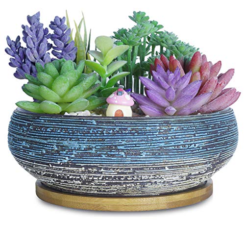 ARTKETTY Succulent Pots, 8 Inch Large Succulent Planters with Drainage Ceramic Bonsai Pot with Tray for Indoor Outdoor Plants Garden Decorative Cactus Flower Plant Container Bowl