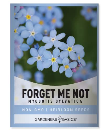 Forget Me Not Seeds for Planting - Myosotis Sylvatica Memorial and Funeral Seeds for Remembrance Beautiful Blue Perennial Forget Me Not Flowers Open Pollinated for Flower Gardens by Gardeners Basics