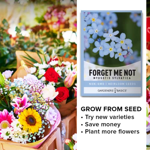 Forget Me Not Seeds for Planting - Myosotis Sylvatica Memorial and Funeral Seeds for Remembrance Beautiful Blue Perennial Forget Me Not Flowers Open Pollinated for Flower Gardens by Gardeners Basics