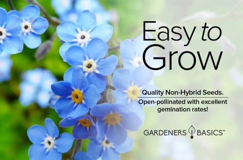 Forget Me Not Seeds for Planting - Myosotis Sylvatica Memorial and Funeral Seeds for Remembrance Beautiful Blue Perennial Forget Me Not Flowers Open Pollinated for Flower Gardens by Gardeners Basics