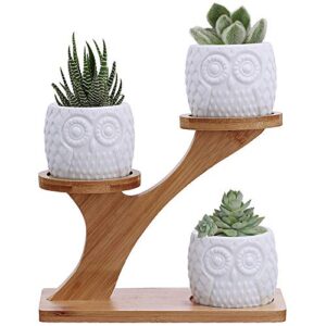 3pcs owl succulent pots with 3 tier bamboo saucers stand holder – white modern decorative ceramic flower planter plant pot with drainage – home office desk garden mini cactus pot indoor decoration