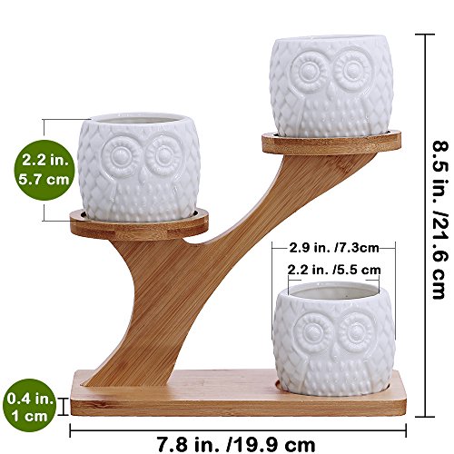 3pcs Owl Succulent Pots with 3 Tier Bamboo Saucers Stand Holder - White Modern Decorative Ceramic Flower Planter Plant Pot with Drainage - Home Office Desk Garden Mini Cactus Pot Indoor Decoration