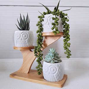 3pcs Owl Succulent Pots with 3 Tier Bamboo Saucers Stand Holder - White Modern Decorative Ceramic Flower Planter Plant Pot with Drainage - Home Office Desk Garden Mini Cactus Pot Indoor Decoration