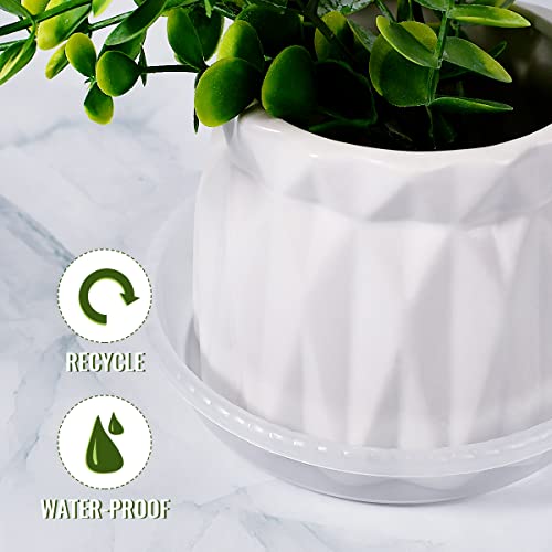 yuntop 10 Pack Clear Plastic Plant Saucer, Durable Plant Trays Flower Plant Pot Saucer Plant Container Accessories for Indoors & Outdoors, Stop Messes & Stains in Your Garden (5 Inch)