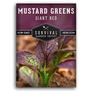 survival garden seeds – giant red mustard greens seed for planting – packet with instructions to plant and grow spicy brassica juncea leaves in your home vegetable garden – non-gmo heirloom variety