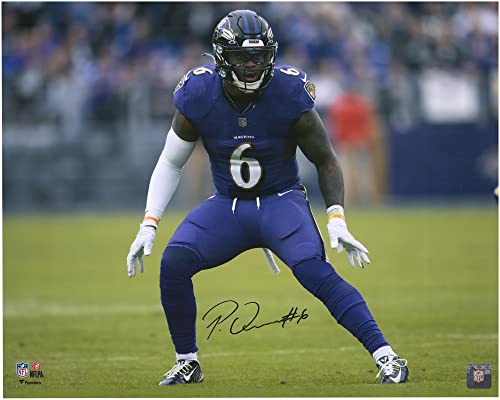 Patrick Queen Baltimore Ravens Autographed 16" x 20" Purple Back Pedal Photograph - Autographed NFL Photos