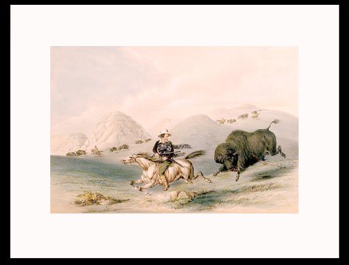 [Buffalo Hunt, Chasing Back]