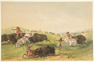 buffalo hunt, chase