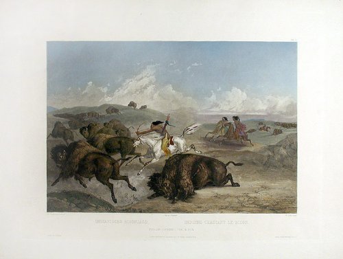 Indians Hunting the Bison