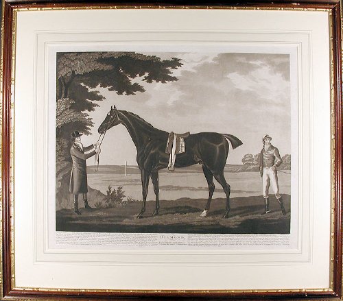 Diamond. Was bred by F. Dawson Esqr. of Newmarket, he was got by Highflyer. Dam by Matchem. he is now in Training and is the Property of Joseph Cookson Esqr.