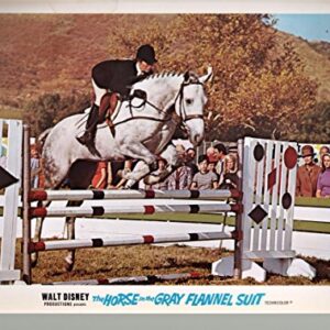 MOVIE POSTER: Horse In The Gray Flannel Suit-Dean Jones-Lot Of Nine-11x14-Color-Lobby Card