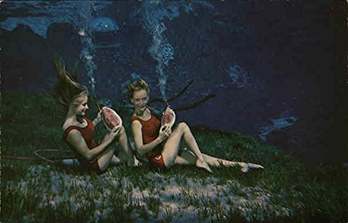 World Famous Weeki Wache Springs Mermaids Weeki Wachee, Florida FL Original Vintage Postcard