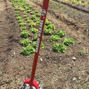 Garden Weasel Cultivator and Hand Tiller 90206 - Garden Tiller with Detachable Tines - Manual Hand Ground Tiller - Weather and Rust Resistant - Carbon Steel