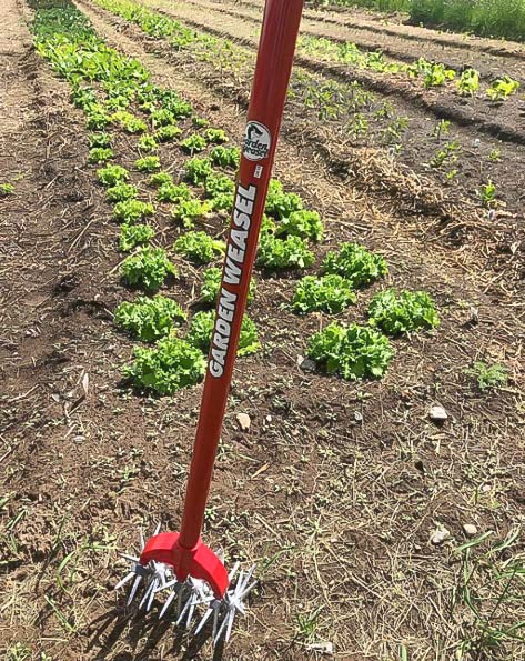 Garden Weasel Cultivator and Hand Tiller 90206 - Garden Tiller with Detachable Tines - Manual Hand Ground Tiller - Weather and Rust Resistant - Carbon Steel