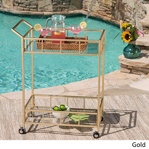 Christopher Knight Home Alice Indoor/Outdoor Industrial Modern Iron and Glass Bar Cart, Gold