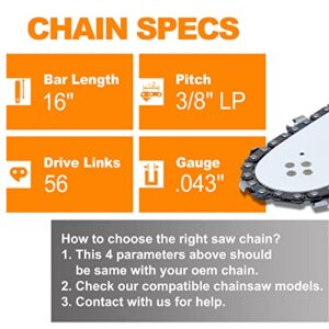 SUNGATOR 2-Pack 16 Inch Chainsaw Chain SG-R56, - 3/8" LP Pitch - .043" Gauge - 56 Drive Links, Compatible with Poulan, Greenworks, Dewalt and More