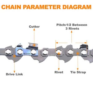 SUNGATOR 2-Pack 16 Inch Chainsaw Chain SG-R56, - 3/8" LP Pitch - .043" Gauge - 56 Drive Links, Compatible with Poulan, Greenworks, Dewalt and More