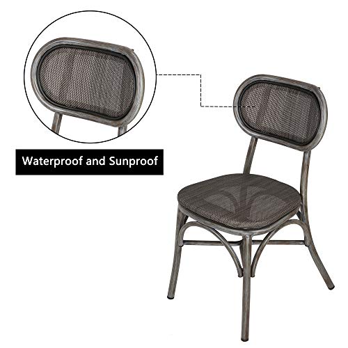 LUCKYERMORE Rattan Dining Chairs Set of 2 Armless with Backrest Classic Kitchen Chairs Dining Bistro Cafe Aluminum Chairs Black