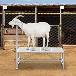happybuy livestock stand 51×23 inches, trimming stand with straight head piece, goat trimming stand metal frame sheep shearing stand livestock trimming stands