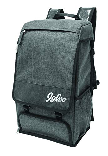 Igloo Daytripper Backpack, Gray (61978)