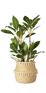 artera woven seagrass plant basket – wicker belly basket planter indoor with plastic liner and handles, natural plant pot for fiddle leaf fig tree, snake plant (xxl, natural with tassel macrame)